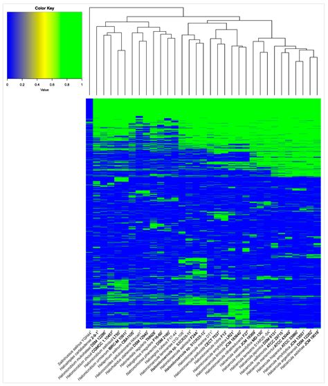 Decoding the Genomic Profile of the Halomicroarcula Genus: Comparative ...