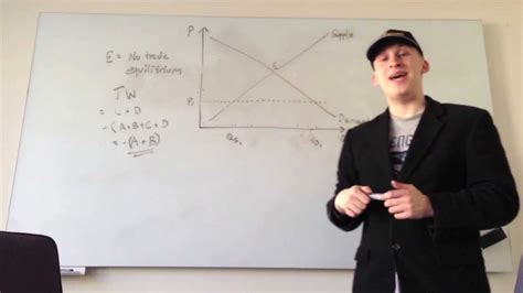 Protectionists Example 的图像结果