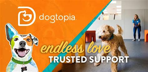 Image result for How to Download Dogtopia Java