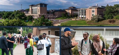 Metro State Online Programs 的图像结果