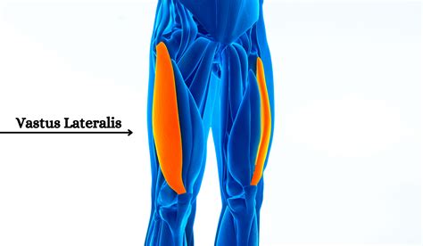 Acupuncture for Vastus Lateralis Pain | ACA Acupuncture and Wellness