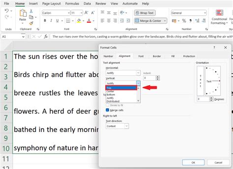 How to Do Line Spacing in Excel 的图像结果