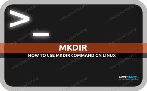 How to Use Mkdir Command in Ubuntu 的图像结果