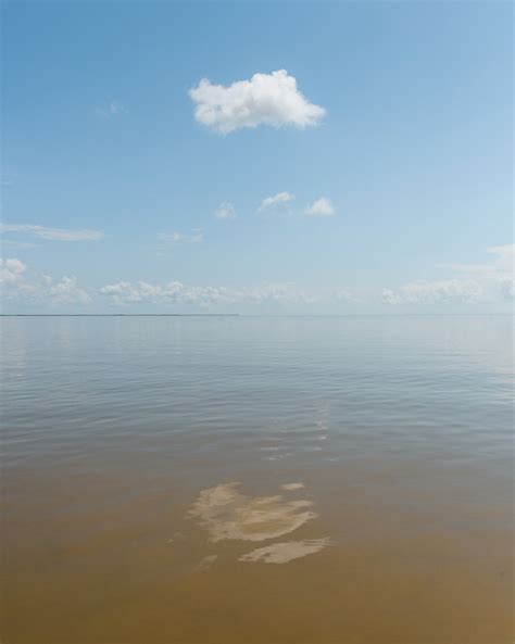 Image result for Loop Current