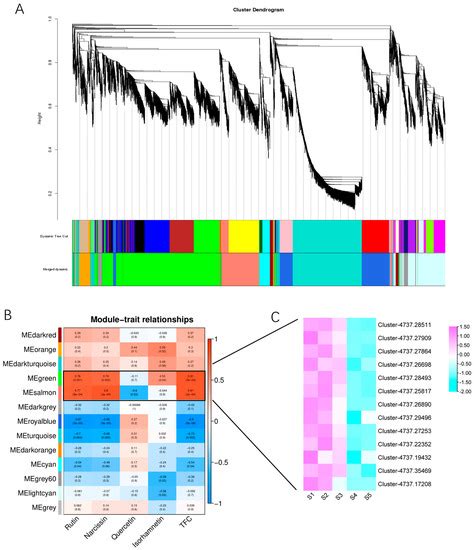 An Analysis of the Potential Regulatory Mechanisms of Sophora Flower ...