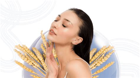Top Benefits of Wheat Dextrin With Japanese Collagen
