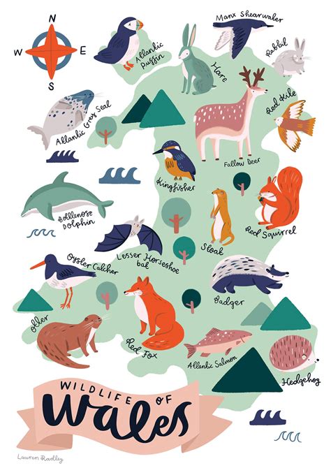 Wildlife In Wales