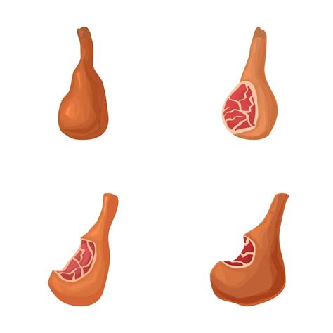Page 2 | Pig leg bone Images - Free Download on Freepik