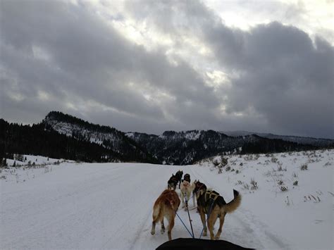 Jackson Hole Iditarod Sled Dog Tours - Jackson Hole WY