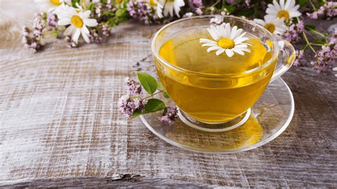 Best 5 Teas for Hangover - Get A Grip On Your Symptoms! – Assamica Agro