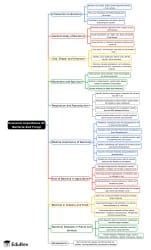 Economic Importance Of Bacteria And Fungi Mind Map - Class 9 Biology ICSE