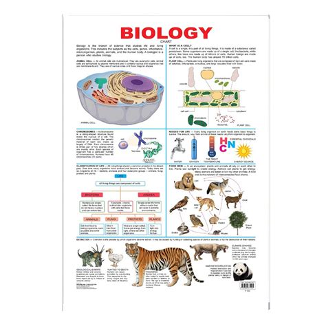 Biology (Early Learning Chart) – Chirukaanuka
