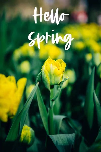 Image result for Friday Spring Time