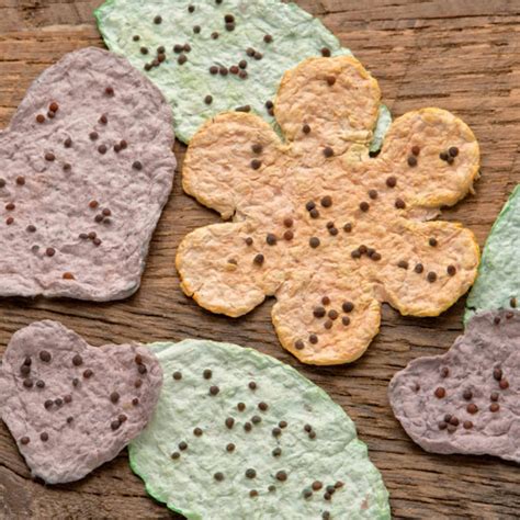 Image result for Seed Papermaking Using Tissues