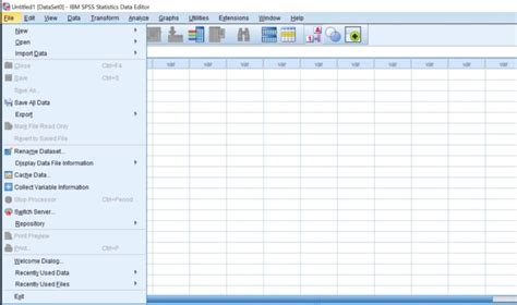 How to Import File in SPSS 的图像结果