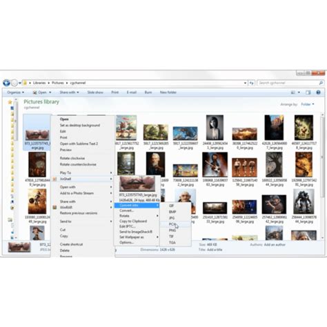 Image result for XnView Alternatives