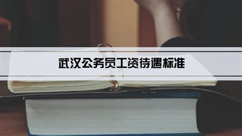 2023年武汉事业单位工资标准表最新(福利待遇+补贴)_解志愿