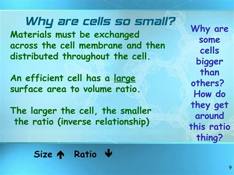 Why Cells So Small