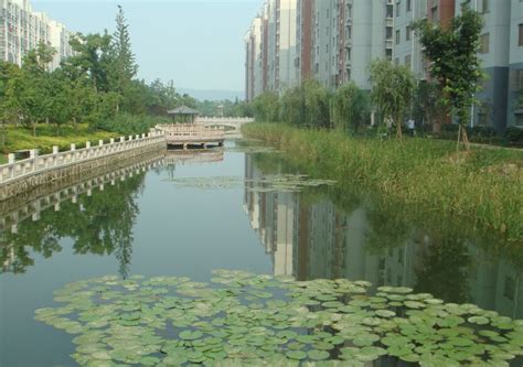 无锡：打造“生态运河”，让黄金水道释放绿色动能_新华报业网