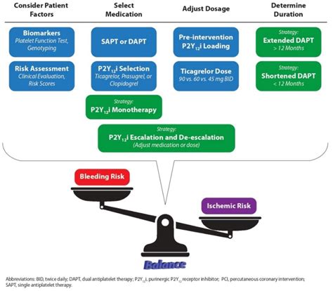Antiplatelet Therapy Aims and Strategies in Asian Patients with Acute Coronary Syndrome or ...
