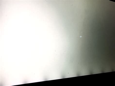 Please help. Evenly spaced dark spots have suddenly appeared on my 2016 ...