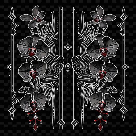 Png sophisticated phalaenopsis orchid borderlines design with ...