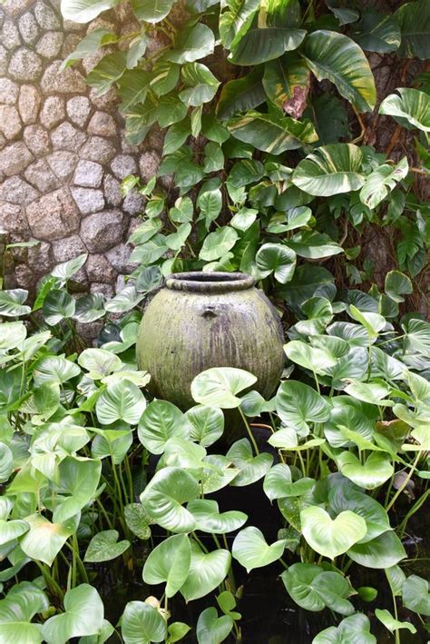 Image result for Overflow Pot