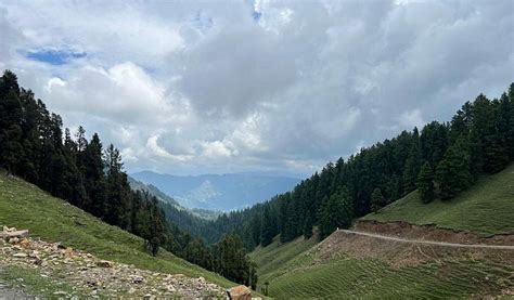 CLUB MAHINDRA JANJEHLI - Resort Reviews, Photos, Rate Comparison ...