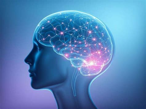 An experiment on seven dead bodies has found evidence of 'soul leaving ...