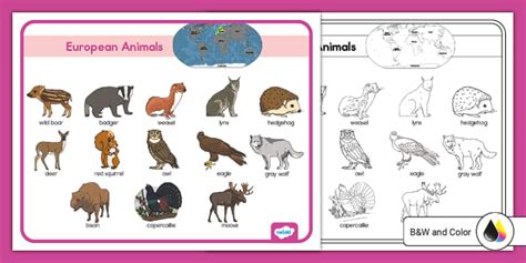 European Animals Word Mat
