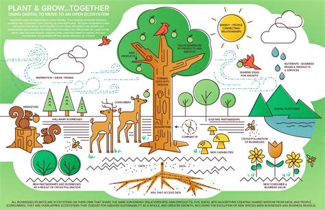 How Do Plants Help Our Ecosystem at Aaron McGowan blog