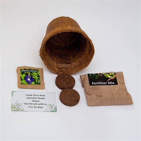Eco-Friendly Plantable DIY Grow Kit—Perfect Return Gift with Coir Pot ...