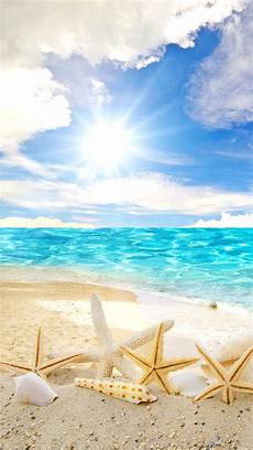 Background Girly Summer Wallpapers by Checkout This Wallpaper For Your Iphone Http Zedge Net Background Girly Summer Wallpapers