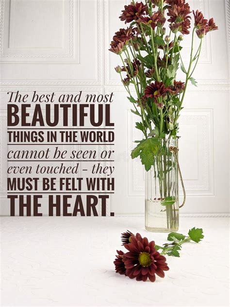 Quote for Learning 的图像结果