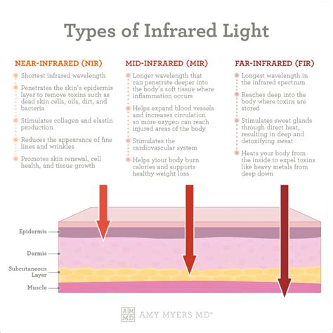 What Are the 4 Types of Human Energy? - Infrared for Health