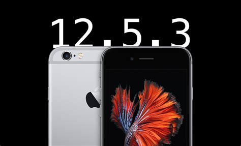 Image result for iOS 12.5.5