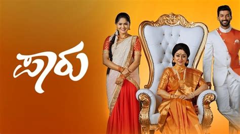 Watch Paaru TV Show Latest Episodes Online at Airtel Xstream Play