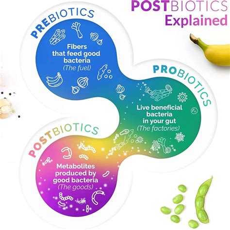 Postbiotics Proven: You Can't Believe The Amazing Benefits!