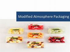 Modified Atmosphere Packaging Thesis by Modified Atmosphere Packaging In Vegetables Modified Atmosphere Packaging Thesis