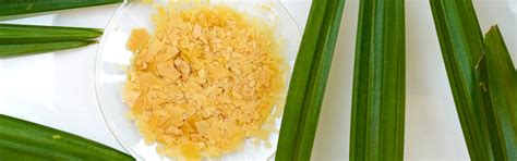 Natural Waxes in Manufacturing: Sustainable & High-Performance ...