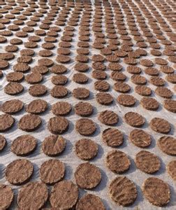 Kuhu Original Cow Dung Cake Organic Gobar Ka Upla / Kanda Price in ...