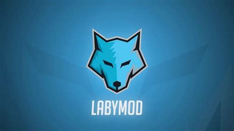 Image result for LabyMod Installation