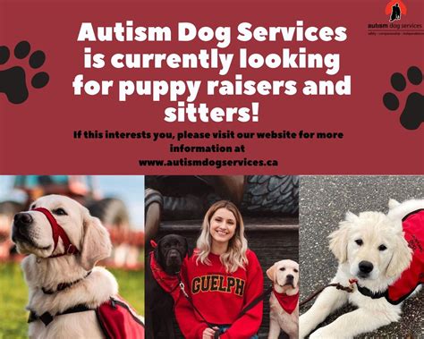 Lending a Paw and Making a Difference by Puppy Raising for Autism Dog ...