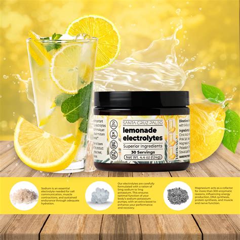 Snapklik.com : Santa Cruz Paleo Electrolyte Powder Lemonade