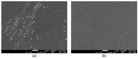 Application of Membrane Capacitive Deionization as Pretreatment ...