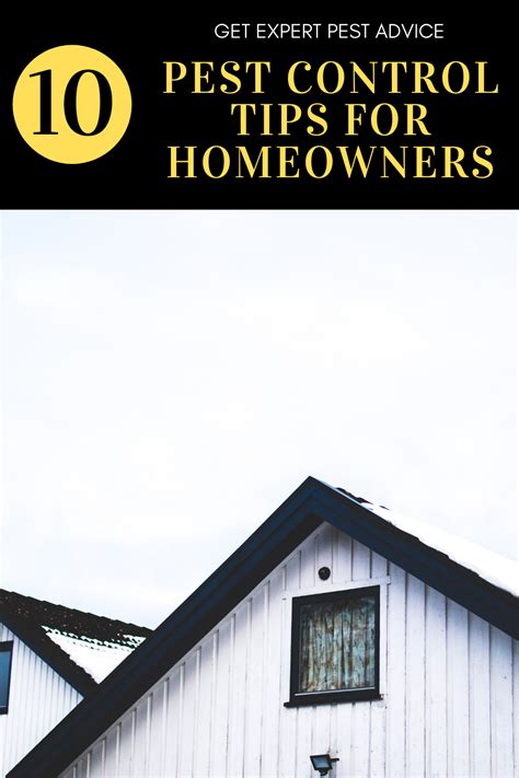 Image result for Bug Pest Control Tips