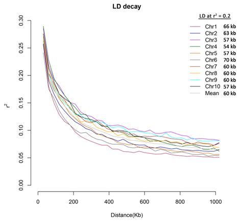 Genome-Wide Association Study (GWAS) Reveals an SNP Associated with ...