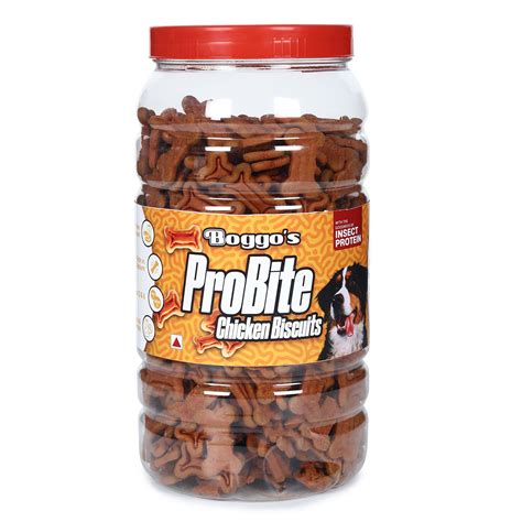 Boggo’s | Insect Protein Dog Food India – Gut-Friendly & Sustainable ...