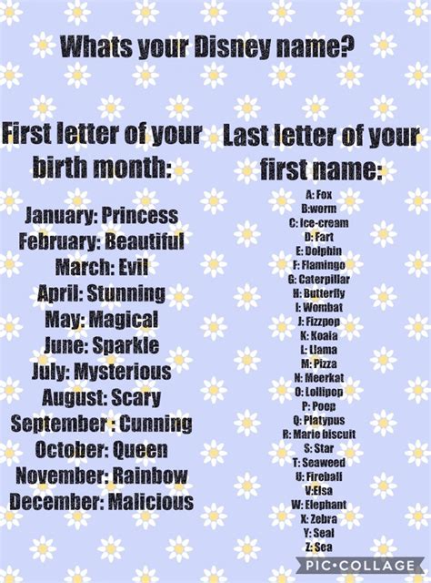 Laugh Out Loud with our Funny Name Generator