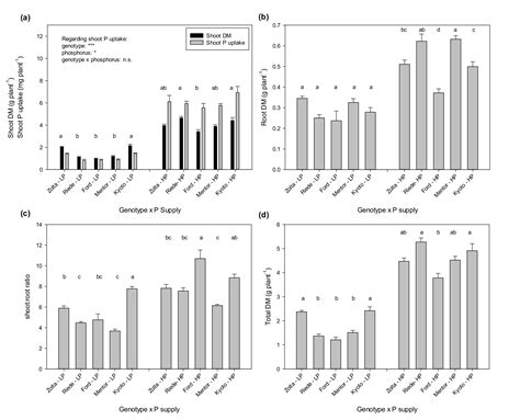 On the Importance of Soybean Seed P for Shoot P Uptake before Anthesis